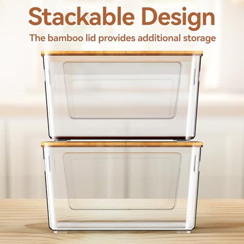 spospo Plastic Clear Storage Container
