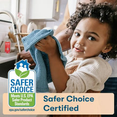 Plant Based Dish Soap Variety Pack 25 oz 4 Pack