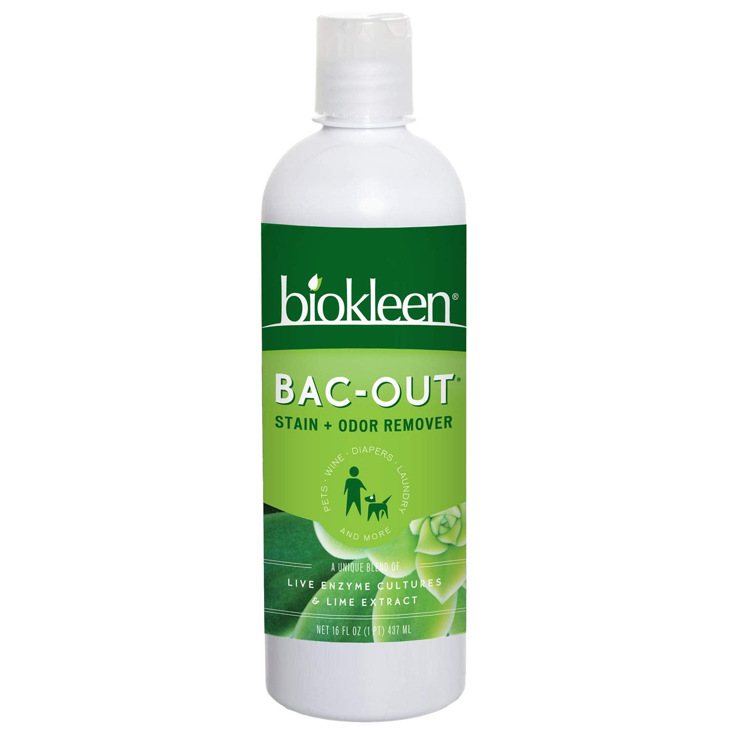 Bac-Out Stain and Odor Remover Squeeze Bottle