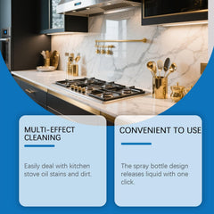 Multi Surface Oil Stain Cleaner Spray 300 ml