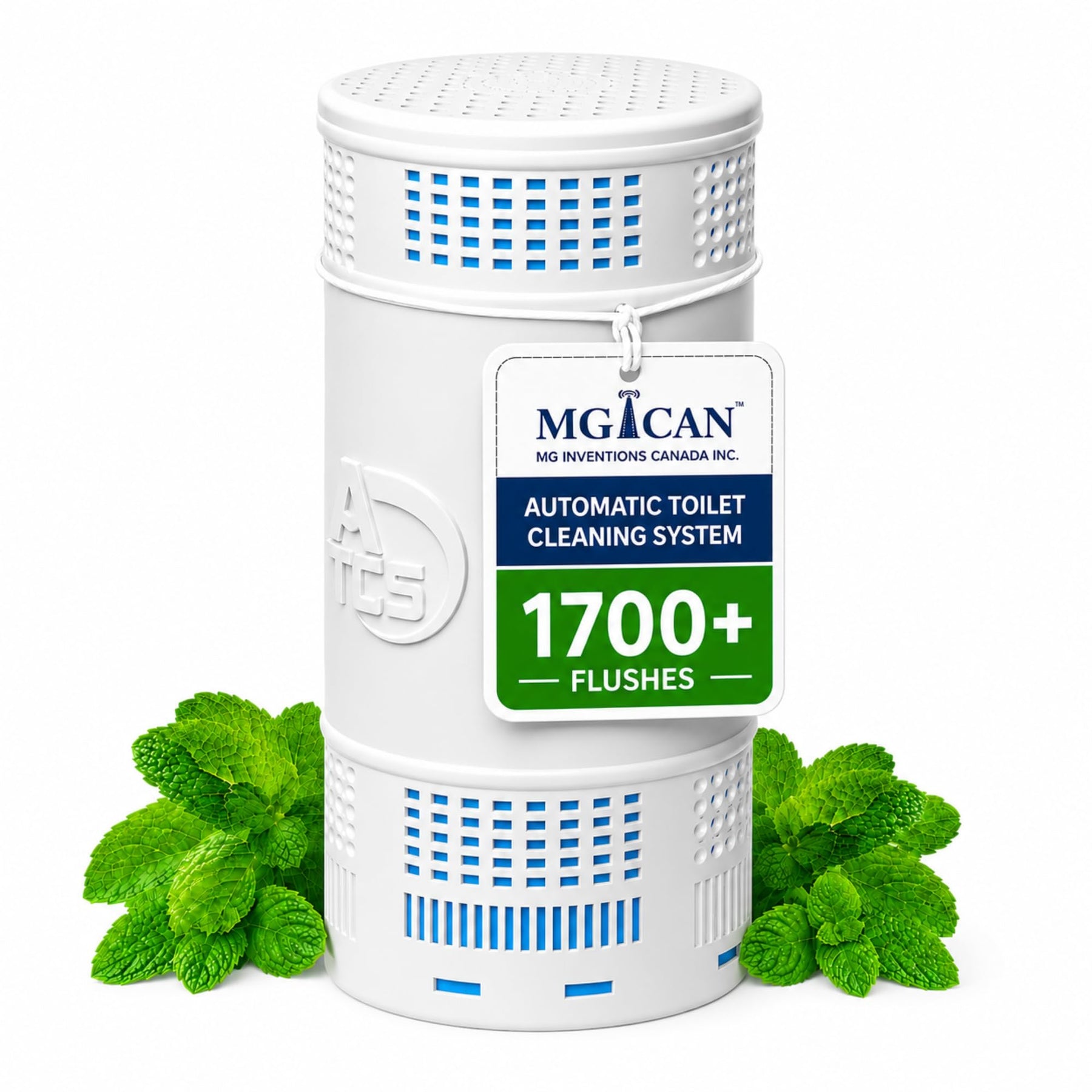 Automatic In Tank Toilet Cleaner System