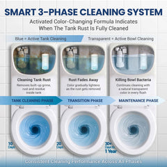 Automatic In Tank Toilet Cleaner System